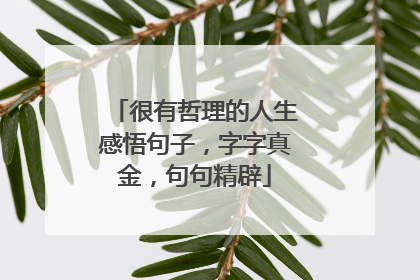 很有哲理的人生感悟句子,字字真金,句句精辟