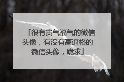 很有贵气福气的微信头像，有没有高逼格的微信头像，跪求