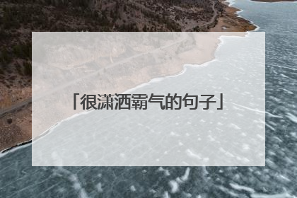 很潇洒霸气的句子