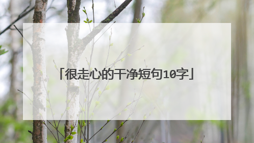 很走心的干净短句10字