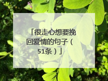 很走心想要挽回爱情的句子（51条）