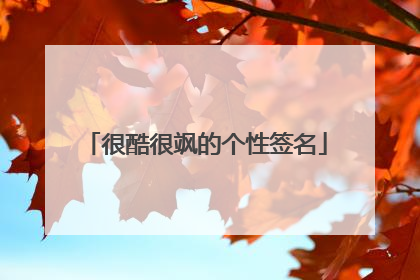 很酷很飒的个性签名