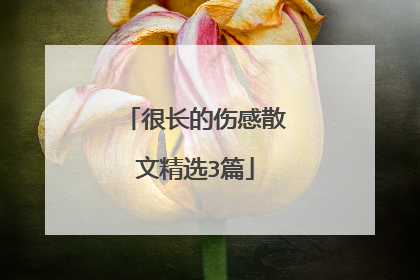 很长的伤感散文精选3篇