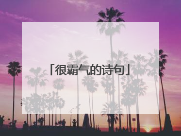 很霸气的诗句