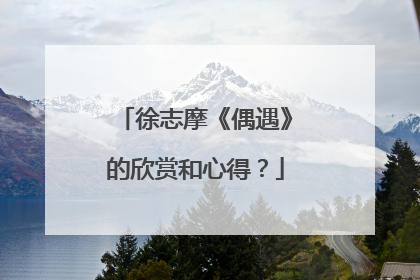 徐志摩《偶遇》的欣赏和心得？