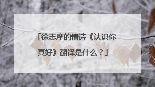 徐志摩的情诗《认识你真好》翻译是什么？