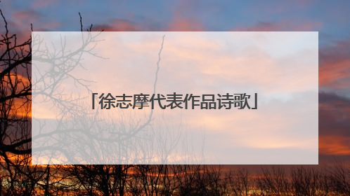 徐志摩代表作品诗歌