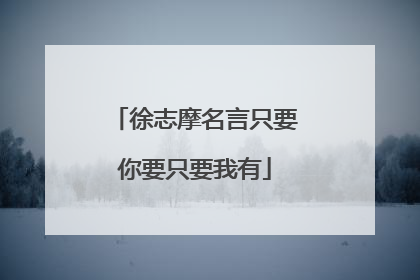 徐志摩名言只要你要只要我有