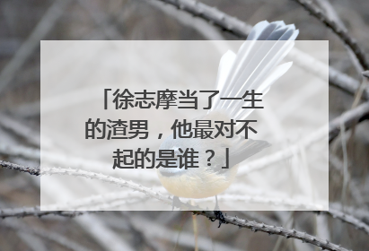 徐志摩当了一生的渣男，他最对不起的是谁？