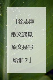 徐志摩散文遇见原文是写给谁？