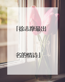 徐志摩最出名的情诗