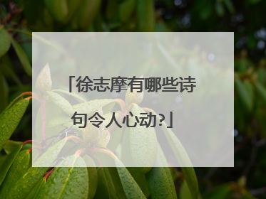 徐志摩有哪些诗句令人心动?
