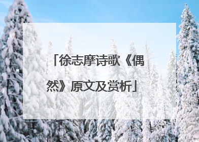 徐志摩诗歌《偶然》原文及赏析