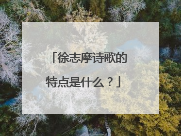 徐志摩诗歌的特点是什么？