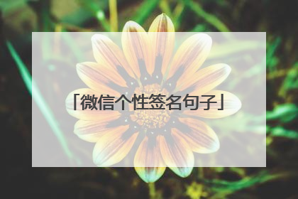 微信个性签名句子