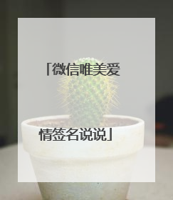 微信唯美爱情签名说说