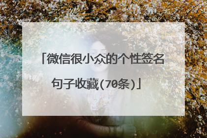微信很小众的个性签名句子收藏(70条)