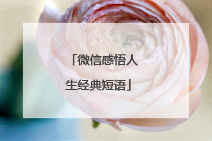 微信感悟人生经典短语