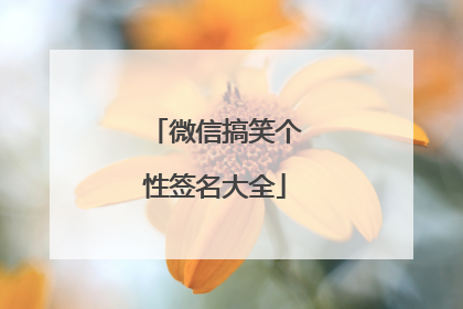 微信搞笑个性签名大全