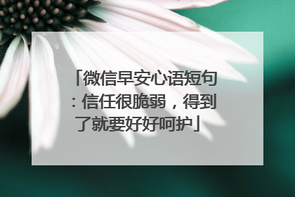 微信早安心语短句：信任很脆弱，得到了就要好好呵护