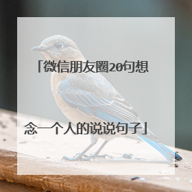 微信朋友圈20句想念一个人的说说句子