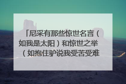 尼采有那些惊世名言(如我是太阳)和惊世之举(如抱住驴说我受苦受难的兄弟啊……)?