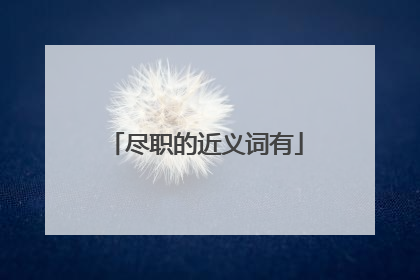 尽职的近义词有