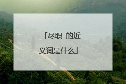 尽职 的近义词是什么