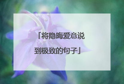 将隐晦爱意说到极致的句子