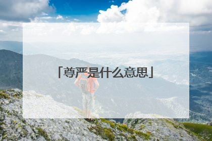 尊严是什么意思