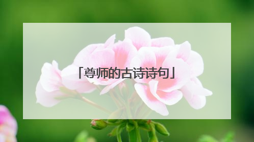 尊师的古诗诗句