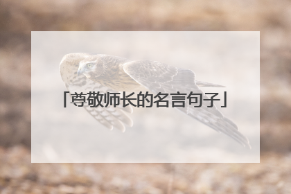 尊敬师长的名言句子