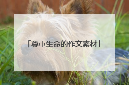 尊重生命的作文素材