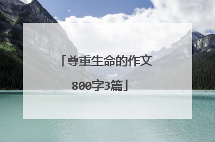 尊重生命的作文800字3篇