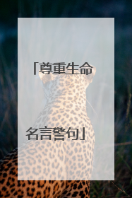 尊重生命名言警句