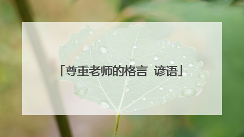 尊重老师的格言 谚语