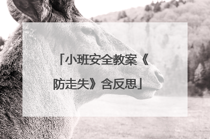 小班安全教案《防走失》含反思