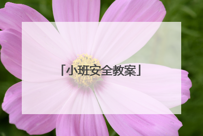 小班安全教案
