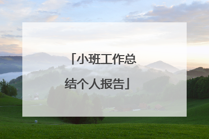 小班工作总结个人报告