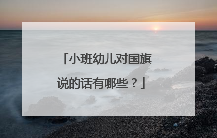 小班幼儿对国旗说的话有哪些?