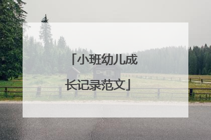 小班幼儿成长记录范文