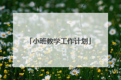 小班教学工作计划