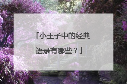 小王子中的经典语录有哪些？