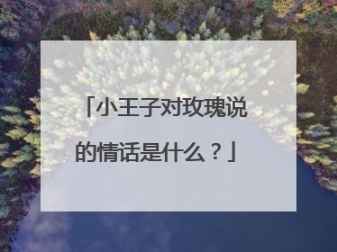 小王子对玫瑰说的情话是什么？