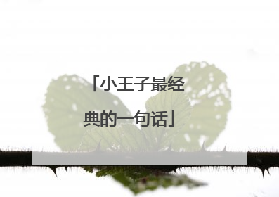 小王子最经典的一句话