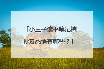 小王子读书笔记摘抄及感悟有哪些?