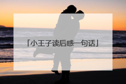 小王子读后感一句话