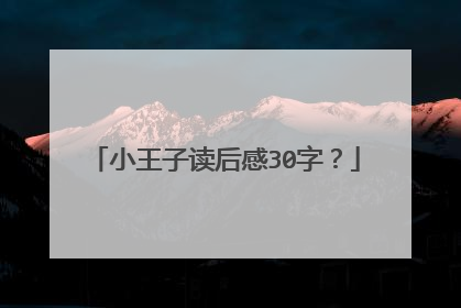 小王子读后感30字？