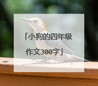 小狗的四年级作文300字