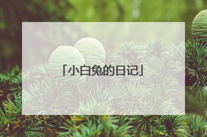 小白兔的日记